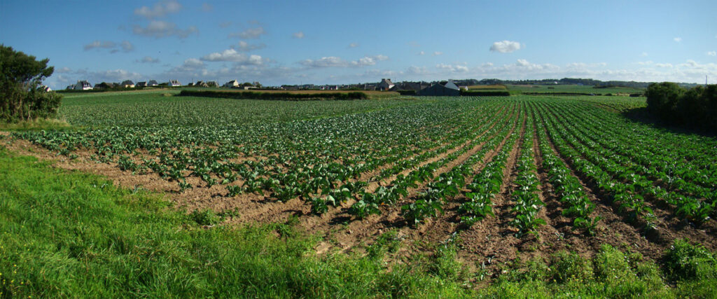 farmland in Brittany