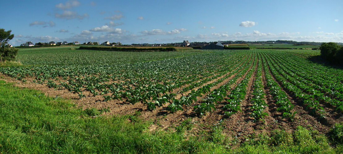 farmland in Brittany