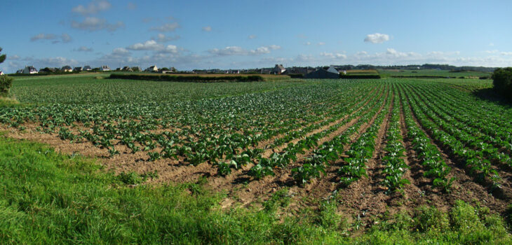 farmland in Brittany