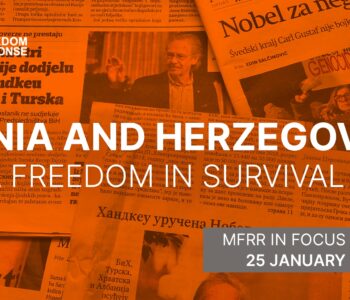 Bosnia media freedom webinar