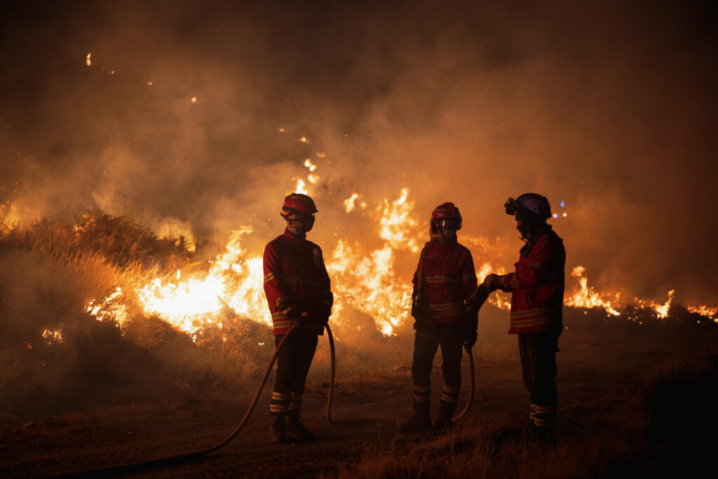 On this 2026 World Environment Day, the MFRR is publishing a fact sheet analysing attacks on environmental reporting documented between 2020 to 2025 in EU Member States and candidate countries. Journalists and media workers reporting on climate and environmental issues suffered physical attacks, verbal abuse, legal threats or were otherwise obstructed in their work. 